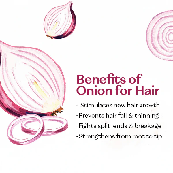 Onion Hair Oil 200ml - Image 2