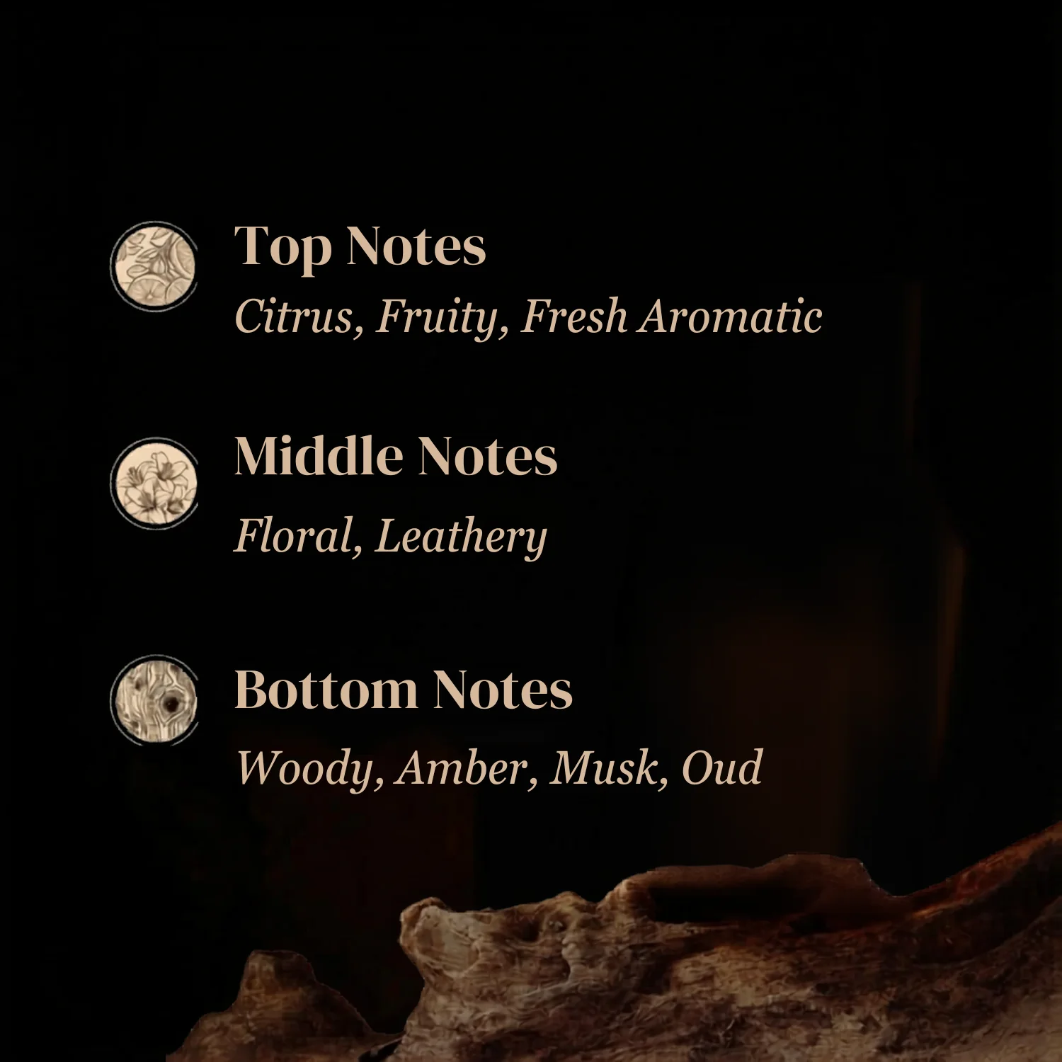 Venturous Oudh Perfume for Men 100ml - Image 3